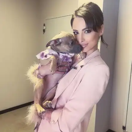 Цвети Стоянова осинови куче