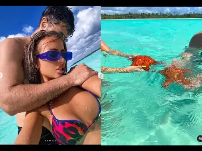 Гери-Никол крие гаджето