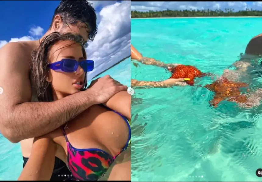 Гери-Никол крие гаджето