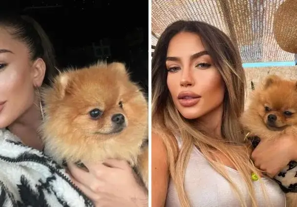 Кучето на Тита с профил в Instagram