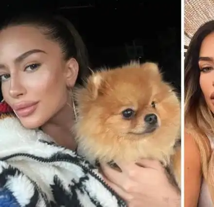 Кучето на Тита с профил в Instagram