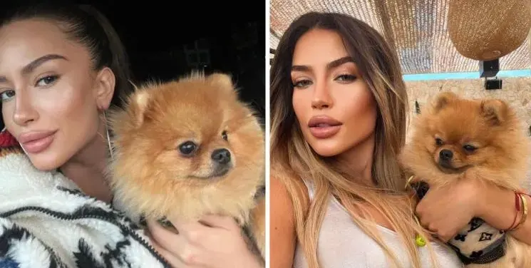 Кучето на Тита с профил в Instagram
