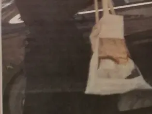 Вижте как дъщерята на Радев му ходи на гости в президентството (Папарашки снимки)