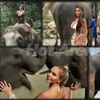 Миски и певици яхната слоници (СНИМКИ)