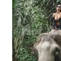 Миски и певици яхната слоници (СНИМКИ)