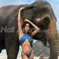 Миски и певици яхната слоници (СНИМКИ)