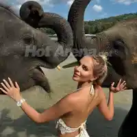 Миски и певици яхната слоници (СНИМКИ)