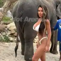 Миски и певици яхната слоници (СНИМКИ)