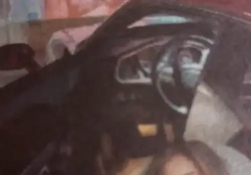 Богданска направи двора си автокино