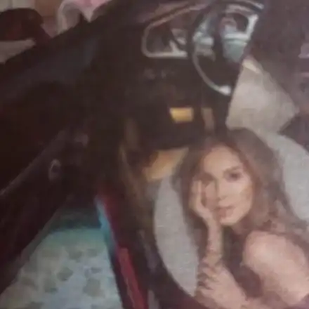 Богданска направи двора си автокино