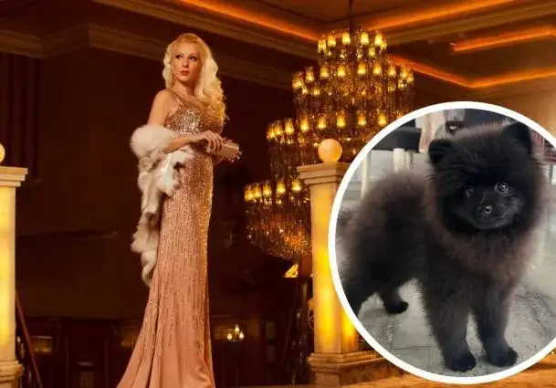 Глезотии: Деси Бакърджиева направи Инстаграм на кучето си