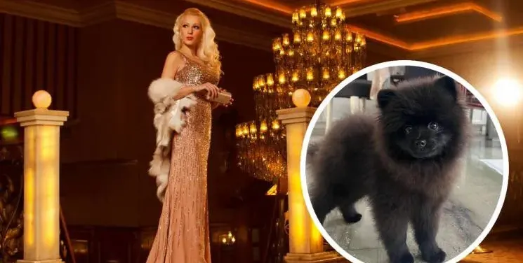 Глезотии: Деси Бакърджиева направи Инстаграм на кучето си