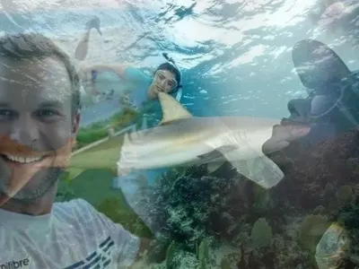 Опасно докосване: Ненчо Балабанов, Алекс Раева и Нина Добрев плуват с акули, Мис България получи предложението си за брак под водата