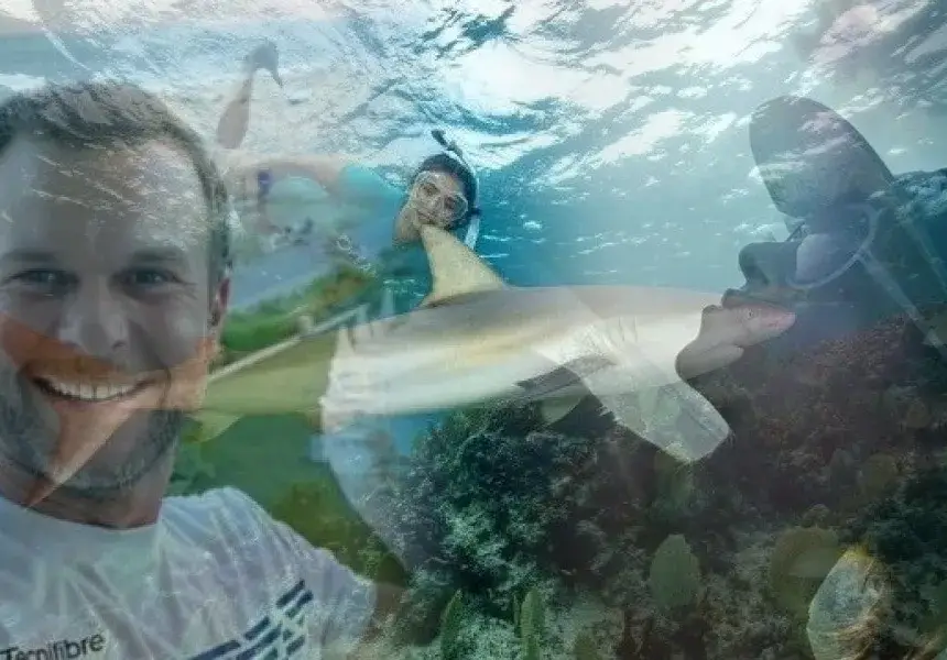 Опасно докосване: Ненчо Балабанов, Алекс Раева и Нина Добрев плуват с акули, Мис България получи предложението си за брак под водата