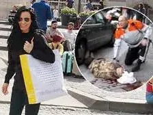 Мутресите също ги гърмят, понякога и ги убиват