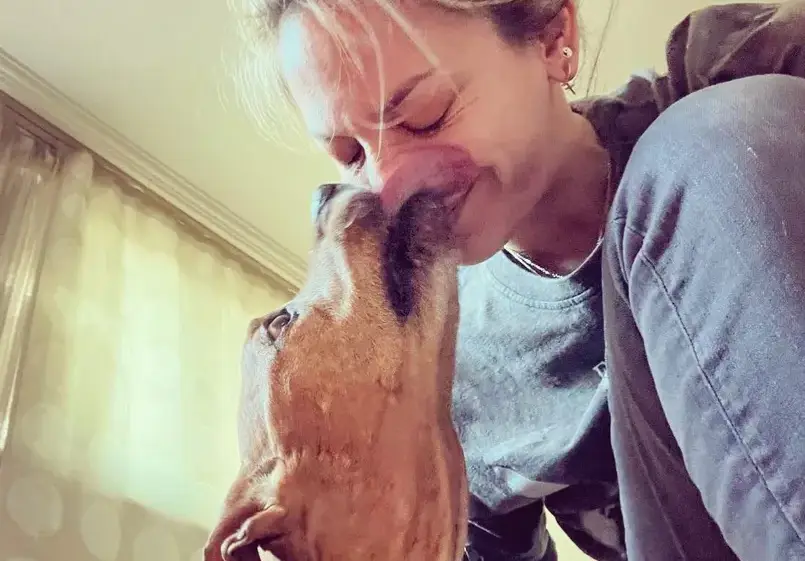 Снежана Макавеева  плаче всеки ден