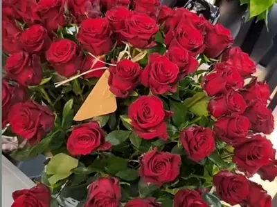 Благо Георгиев не спира да ухажва и да се жертва за Ивана Главчева. Вижте новите му ходове!