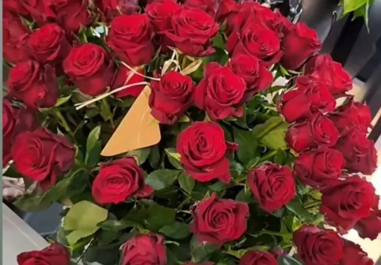 Благо Георгиев не спира да ухажва и да се жертва за Ивана Главчева. Вижте новите му ходове!