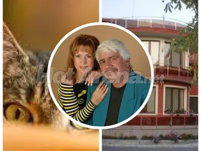 ЧУДО! Котка от Хисаря познала болестта на Развигор Попов!