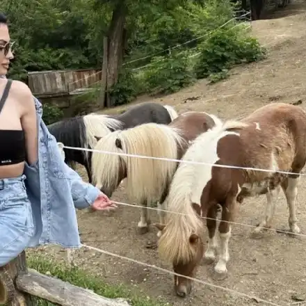 ГАФ! Бомбите на Мис България цъфнаха в зоопарка! (ФОТО)