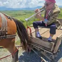 Гъмзата свири на кон