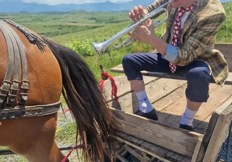 Гъмзата свири на кон