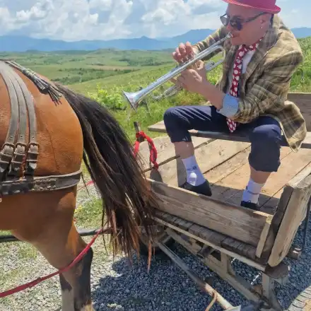 Гъмзата свири на кон