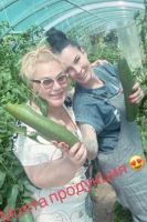 Цеци Красимирова бере краставиците на приятелка