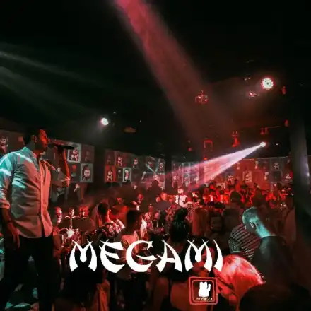 Созопол отново осъмна в три поредни дни с гръцки партита в препълнения Megami Neko СНИМКИ