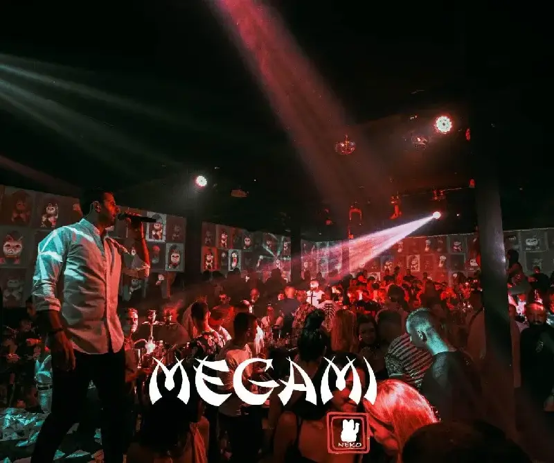 Созопол отново осъмна в три поредни дни с гръцки партита в препълнения Megami Neko СНИМКИ