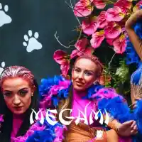 Созопол отново осъмна в три поредни дни с гръцки партита в препълнения Megami Neko СНИМКИ