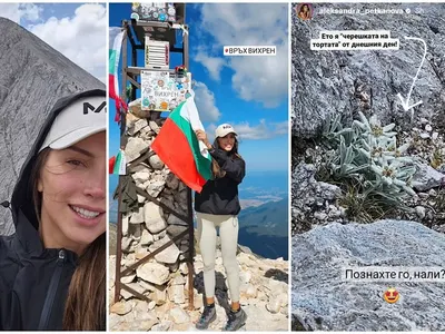 Алекс Богданска намери еделвайс на Вихрен