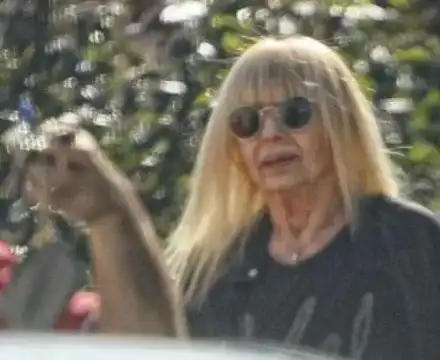 Лили цери ревматизъм в 5-звездния хотел на Първанов