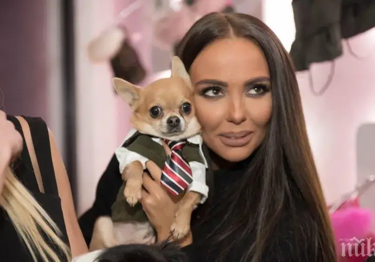 Николета харчи за кучето си по 1500 лева месечно