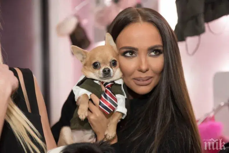 Николета харчи за кучето си по 1500 лева месечно