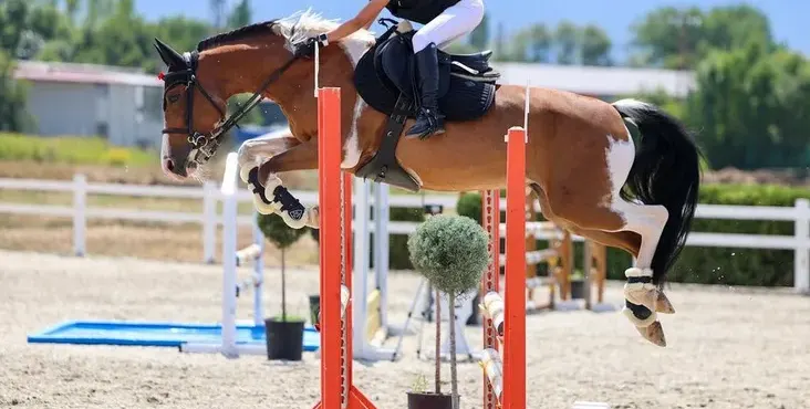 Внучката на Маринела Арабаджиева пак шампионка (Снимки)