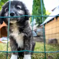 „Фермата“ стартира с 22-ма атрактивни участници и отборни битки