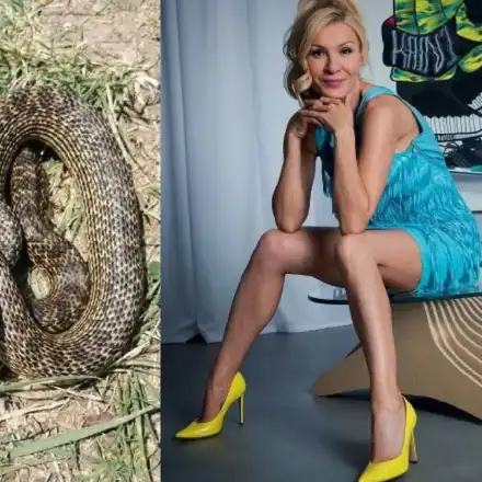 Без паника! Змия шокира Гала