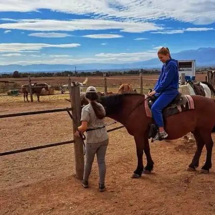 Маданска се качи на кон с децата