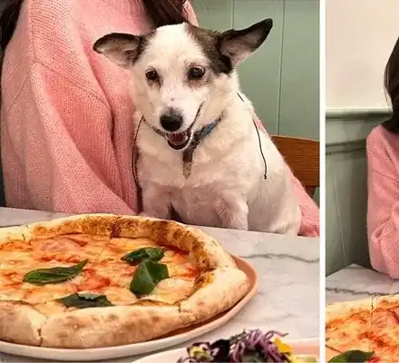 Победителката от „Ергенът“ яде с кучето си