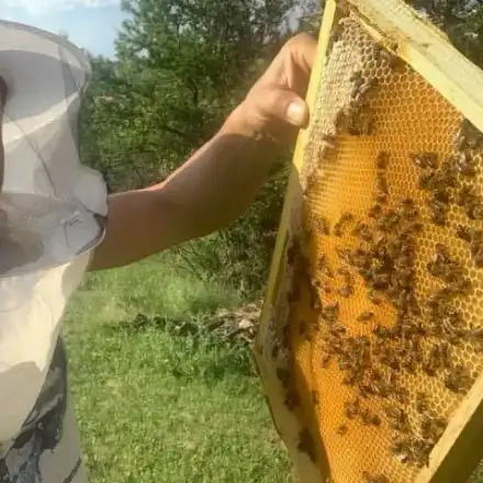 Борис Дали е професионален фермер