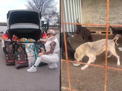 Плеймейтката Глория Аенска и „Добрите феи“ спасяват живота на 150 кучета