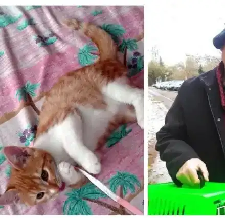 Хорър: Джина от „Трамвай №5“ пусна жалба в полицията срещу Сатаната