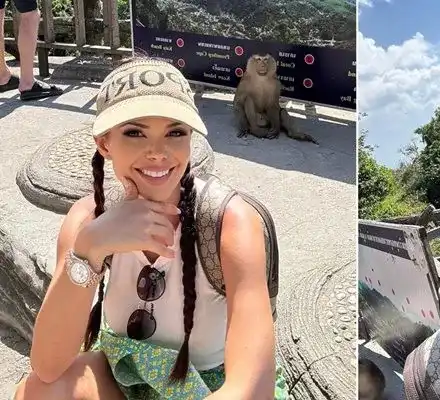 Маймуна дебне Преслава