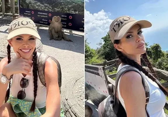 Маймуна дебне Преслава