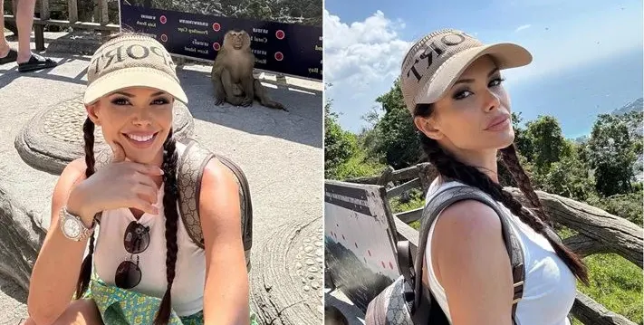 Маймуна дебне Преслава