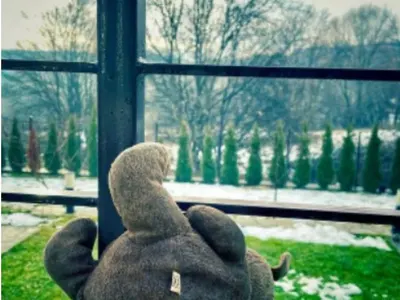 ТОЗИ имот в Бистрица докара до съд Маданска и Венелин Петков (СНИМКИ)