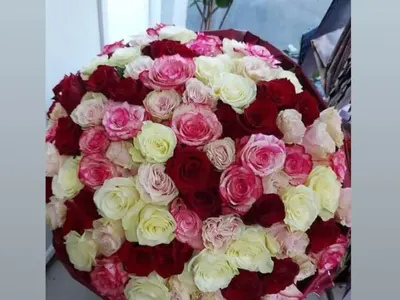 Влюбени!? Мис България натри носа на бившия с ТОЗИ тузар (ФОТО)