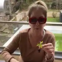 Катето Евро показа разсада, очаква богата реколта