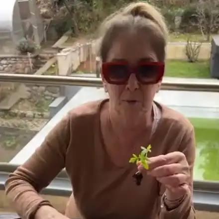 Катето Евро показа разсада, очаква богата реколта